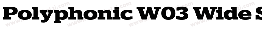 Polyphonic W03 Wide SemiBold字体转换